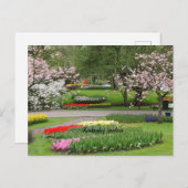 Keukenhof Tuinen, Nederland Briefkaart (Voorkant / Achterkant)
