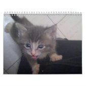 keukenkalender kalender (Hoes)