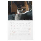 keukenkalender kalender (Feb 2026)