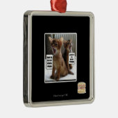 Keukenkarolen Metalen Ornament (Rechts)