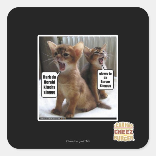 Keukenkarolen Vierkante Sticker (Voorkant)