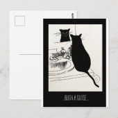 keukenkat briefkaart (Voorkant / Achterkant)