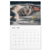 Keukenkat Collectie kalender (groot) (Mar 2026)