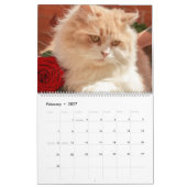Keukenkat Collectie kalender (groot) (Feb 2027)