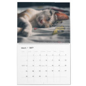 Keukenkat Collectie kalender (groot) (Mar 2027)