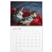 Keukenkat Collectie kalender (groot) (Jan 2027)