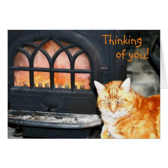 Keukenkat denken aan je Kaart (Voorkant Horizontaal)