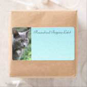 Keukenkat in grijs etiket (Insitu)