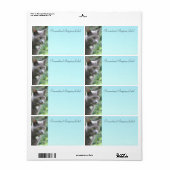 Keukenkat in grijs etiket (Full Sheet)