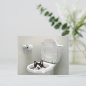 Keukenkat in toiletbak briefkaart (Staand voorkant)