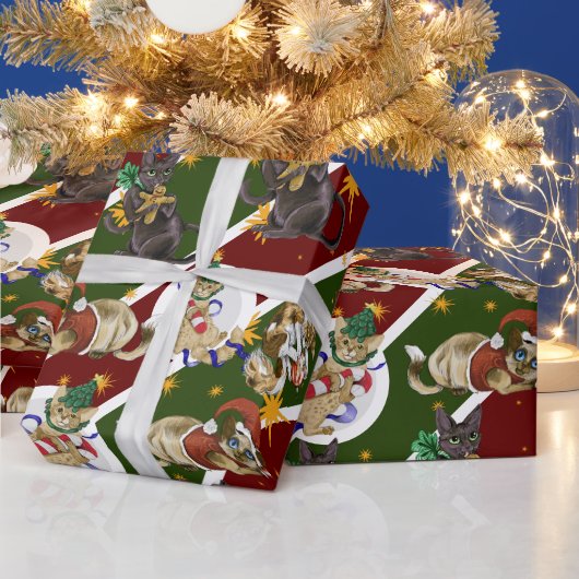Keukenkat kerstpapier cadeaupapier (Feestdagen)
