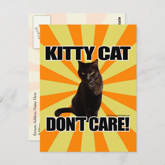 Keukenkat maakt het niet uit briefkaart (Voorkant / Achterkant)