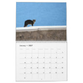 Keukenkat van het Griekse kalender (Jan 2027)