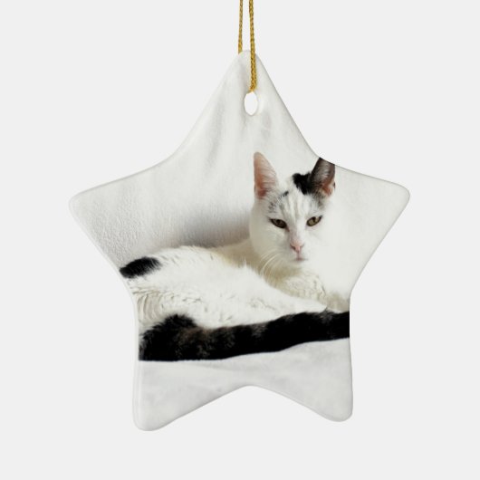 Keukenkat, witte en zwarte kat, ontluchting keramisch ornament (Rechts)