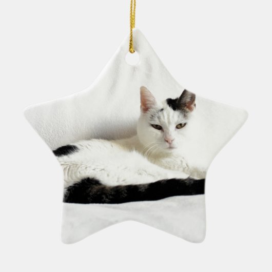 Keukenkat, witte en zwarte kat, ontluchting keramisch ornament (Voorkant)