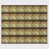 Keukenkat, zoet verpakt papier (Vlak)