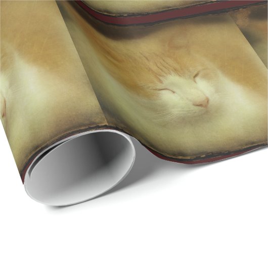 Keukenkat, zoet verpakt papier (Rol Hoek)