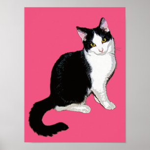 Keukenkat, zwart en wit, warm roze poster