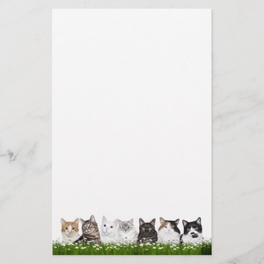 Keukenkatten in dagboeien briefpapier (Voorkant)