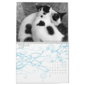 Keukenkatten in Griekenland Kalender (Feb 2027)