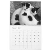 Keukenkatten in Griekenland Kalender (Feb 2027)