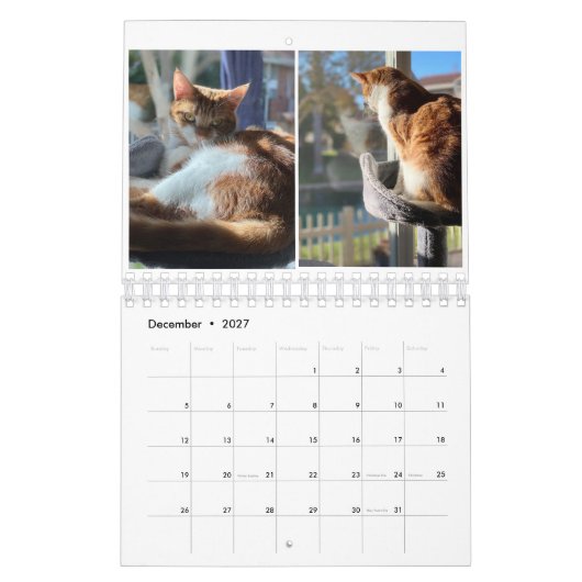 Keukenkatten Kalender (Dec 2027)