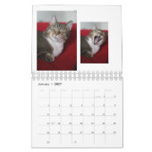Keukenkatten Kalender (Jan 2027)