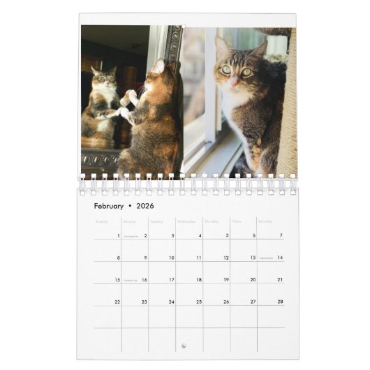 Keukenkatten Kalender (Feb 2026)
