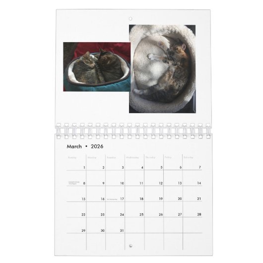 Keukenkatten Kalender (Mar 2026)