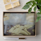 Keukenkeukenpapier voor de ontvlechting van keuken tissuepapier (Geschenk)