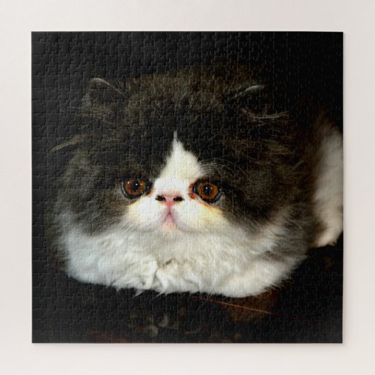 Keukenkeuten, zwart en wit legpuzzel (Verticaal)