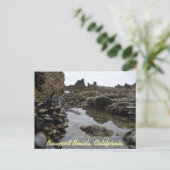 Keukenknollen Briefkaart (Staand voorkant)