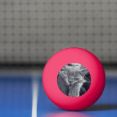 Keukenliefde Pingpongbal (Net)