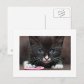 Keukenmacht Briefkaart (Voorkant / Achterkant)