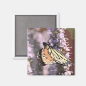 Keukenmagneet met vlinder op hyssopbloem magneet (Voorkant / Achterkant)