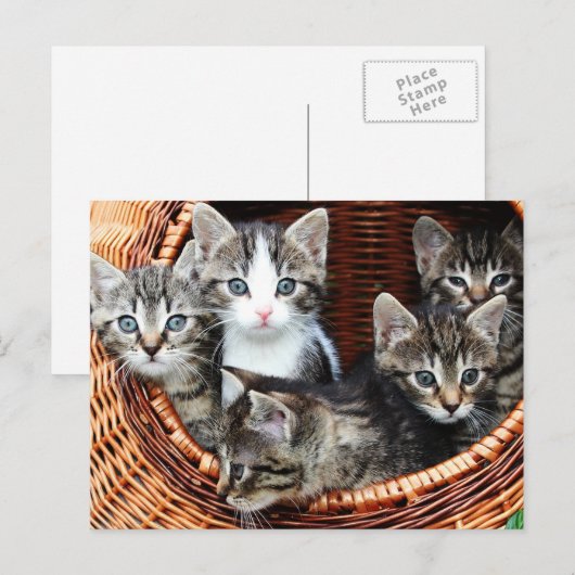 Keukenmandje Briefkaart (Voorkant / Achterkant)