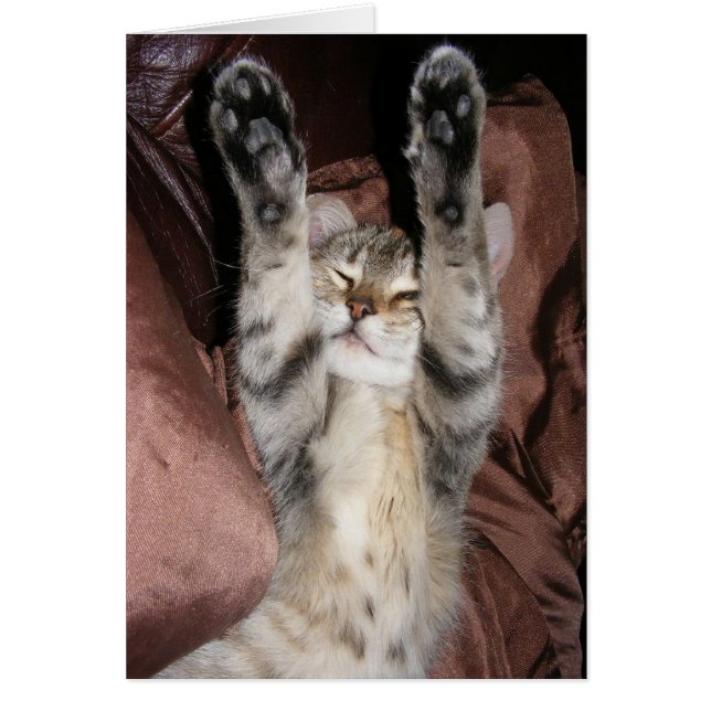 Keukennetkaart (Voorkant)