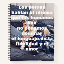 keukenno notitieboek