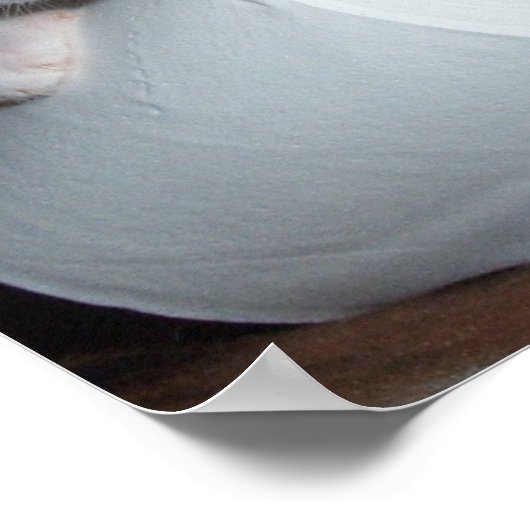 keukenpapier poster (Hoek)