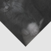 keukenpapier tissuepapier (Detail)