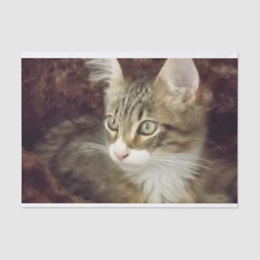 Keukenpapiermeubelen voor losbladig papier (Voorkant)