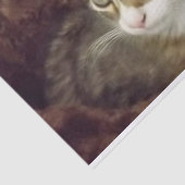 Keukenpapiermeubelen voor losbladig papier (Detail)