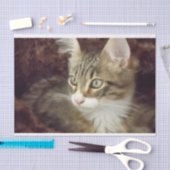 Keukenpapiermeubelen voor losbladig papier (Craft)