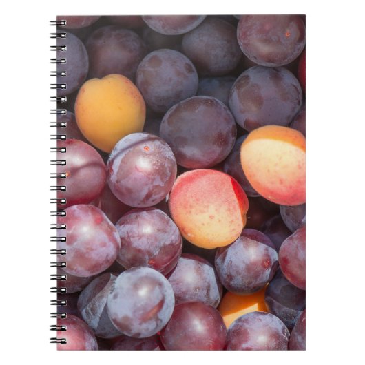 Keukenpellerachtergrond Notitieboek (Voorkant)