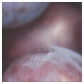 Keukenpellerachtergrond Stof (Close Up)