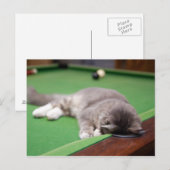 Keukenpoel Briefkaart (Voorkant / Achterkant)