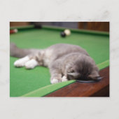 Keukenpoel Briefkaart (Voorkant)