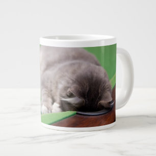 Keukenpoel Grote Koffiekop