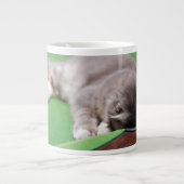 Keukenpoel Grote Koffiekop (Voorkant)