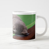 Keukenpoel Grote Koffiekop (Rechts)